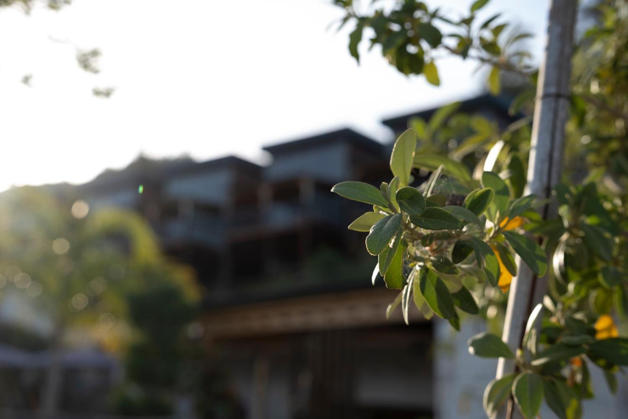 La Veranda Villas Kumluca Ngoại thất bức ảnh
